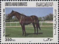 Horse (Equus ferus caballus) „Dubai Millennium“