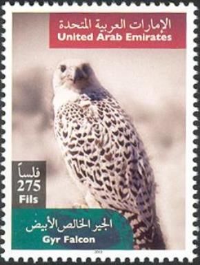 Gyrfalcon (Falco rusticolus)