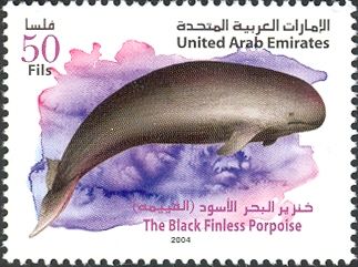 Black Finless Porpoise (Neophocaena phocaenoides)