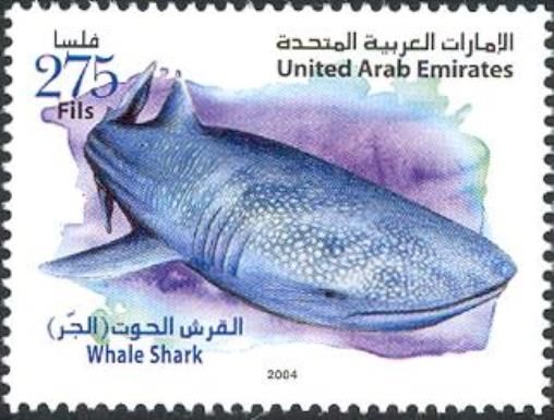 Whale Shark (Rhincodon typus)