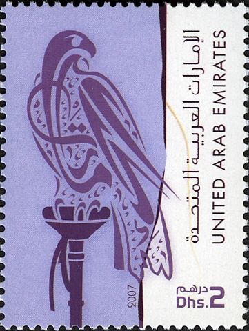 Falcon (Falco sp.)