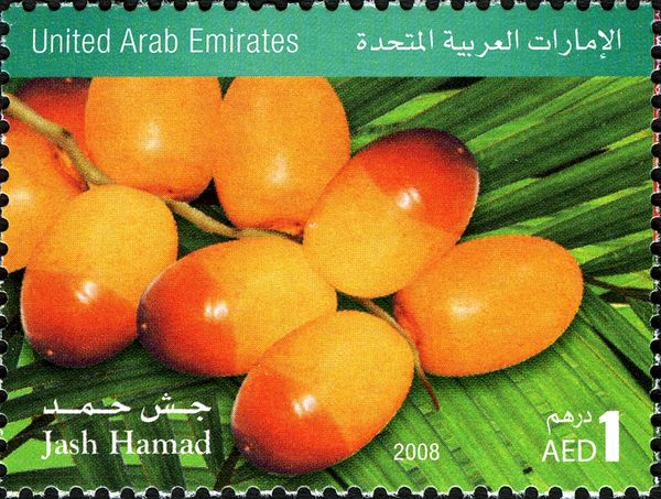Dates of UAE - Abumaan