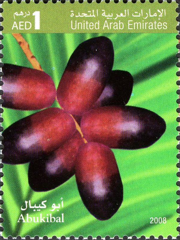 Dates of UAE - Abumaan