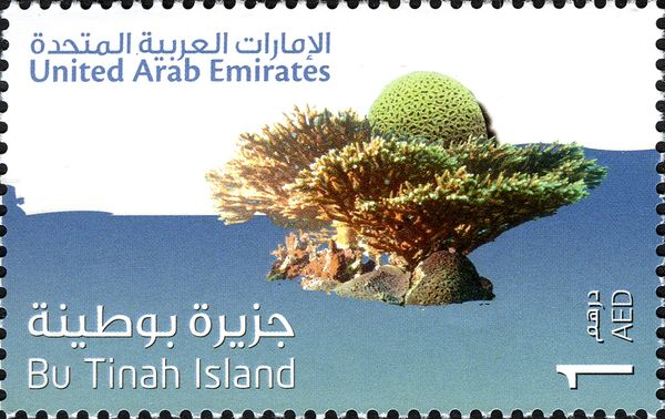 Corals