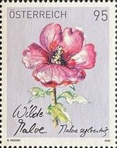 Common Mallow (Malva neglecta)