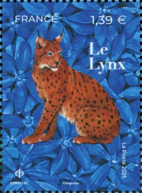 Lynx