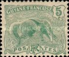 Giant Anteater (Myrmecophaga tridactyla)