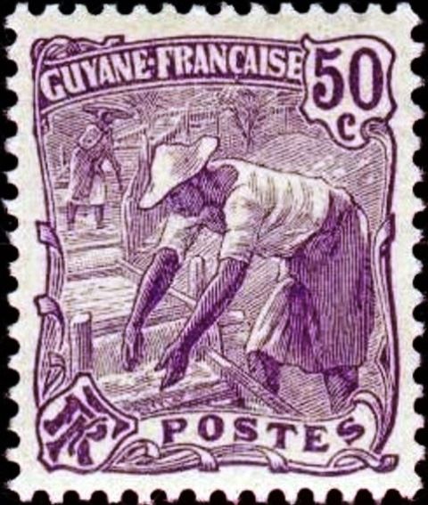 Panning for Gold in a Sluice