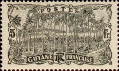 Cayenne: Place of Palms