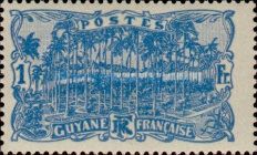 Cayenne: Place of Palms