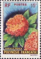 Saraca indica