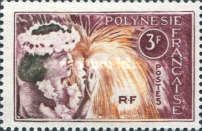 Tahitian Dancer