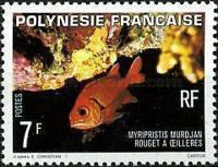 Pinecone Soldierfish (Myripristis murdjan)
