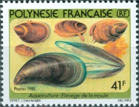 different Mussels
