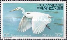 Pacific Reef-Heron (Egretta sacra)