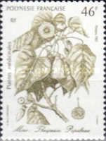 Miro (Thespesia populnea)