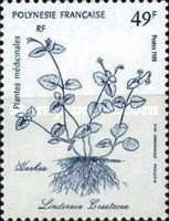 Hachaa (Lindernia crustacea)