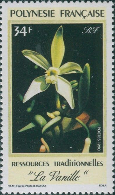 Vanilla flower