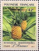 Pineapple - Ananas