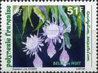 Belle de nuit