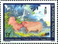 Year of The Pig