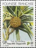 Singapore 95 - Pandanus fruit