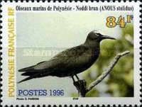 Brown Noddy (Anous stolidus)