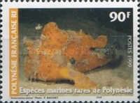 Painted Frogfish (Antennarius pictus)
