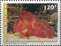 Leaf Scorpionfish (Taenianotus triacanthus)
