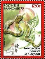 The Year of the Snake
