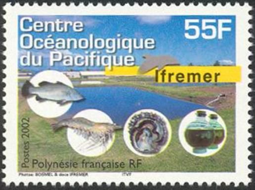 Oceanological center of the Pacific