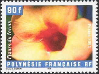 Allamanda blanchetii