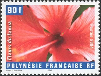Hibiscus rosa-sinensis