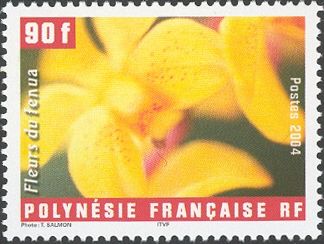 Vanda