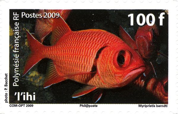 Blotcheye Soldierfish (Myripristis berndti)