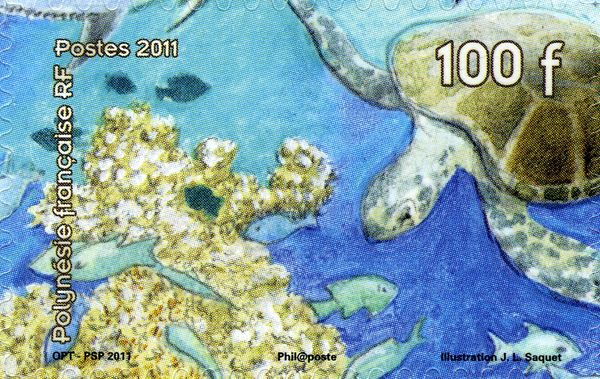 Sea Turtle