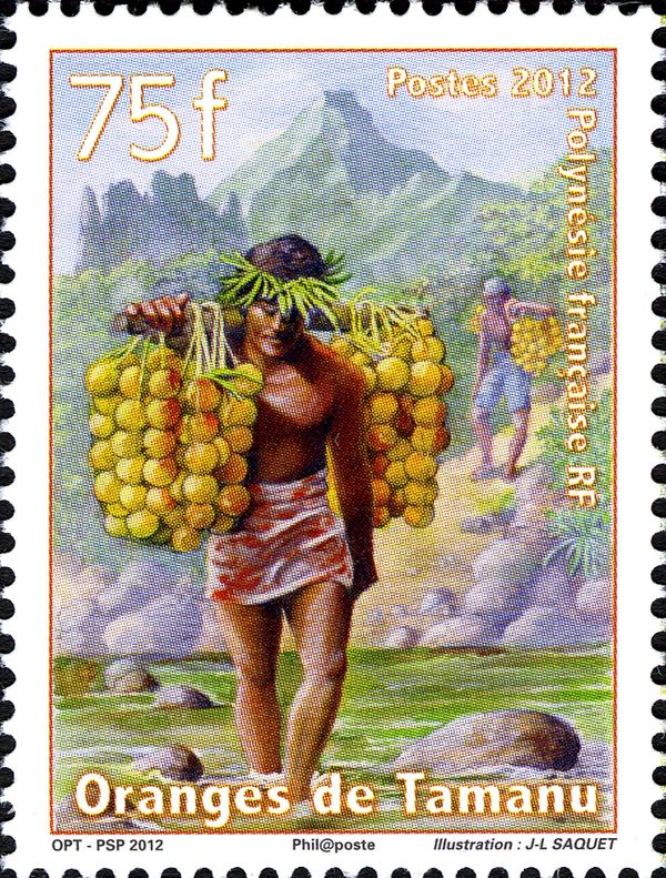 Carrier with oranges on the way to the coast of Tamanu