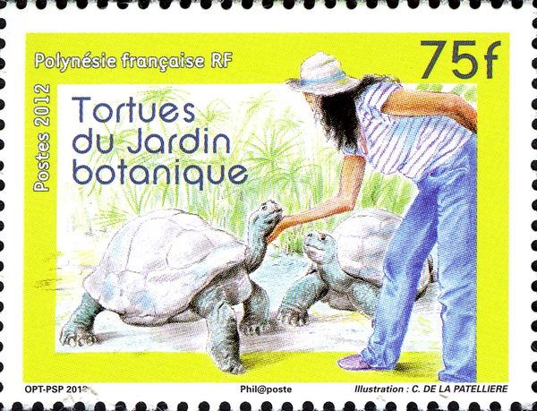 Galapagos Tortoise (Chelonoidis nigra)
