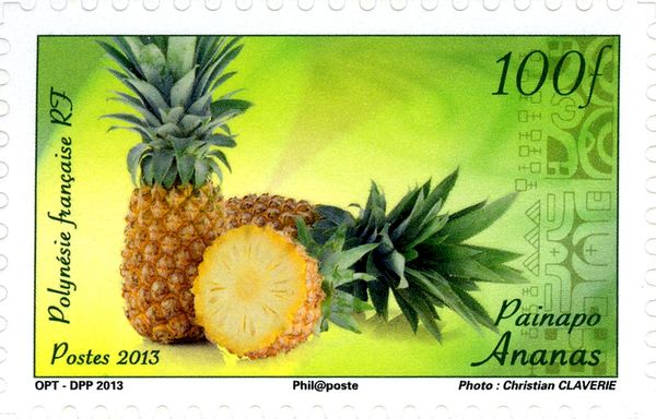 Pineapple (Ananas comosus)