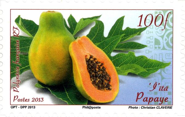 Papaya (Carica papaya)