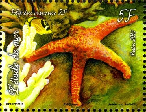 Starfish