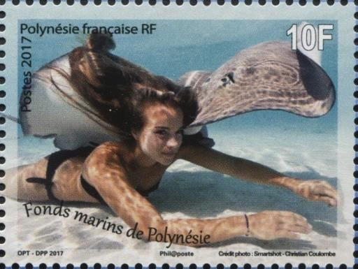 Marine Life of Sea Floors of French Polynesia