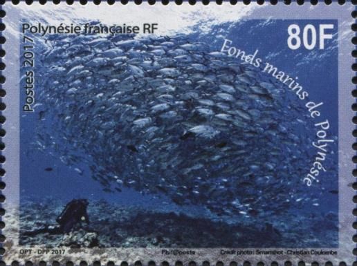 Marine Life of Sea Floors of French Polynesia