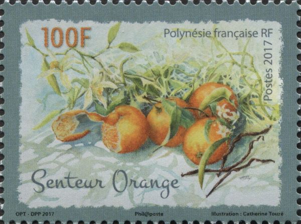 The Fragrance of Orange