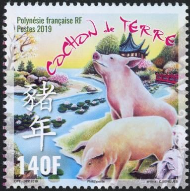 Year of the Pig 2019