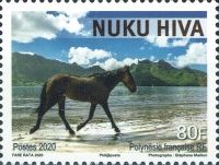 Horse on Beach, Nuku Hiva Island