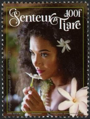 Tiaré (Gardenia taitensis)