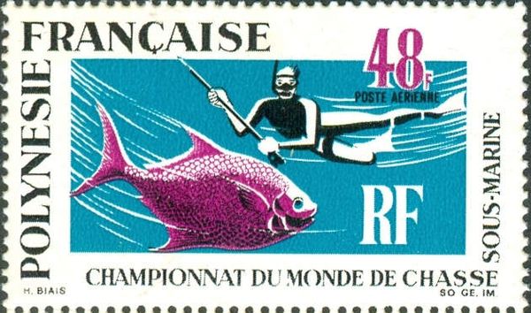 Diver and Fish