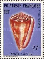 Gauguin's Cone (Conus gauguini)