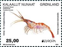 Northern Prawn (Pandalus borealis)